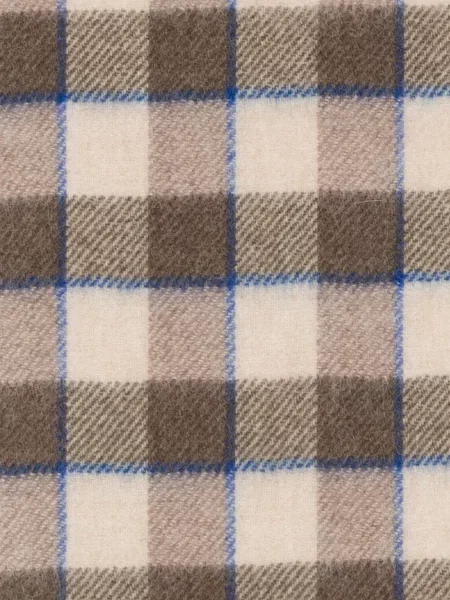 Fular A.p.c. cu franjuri în carouri