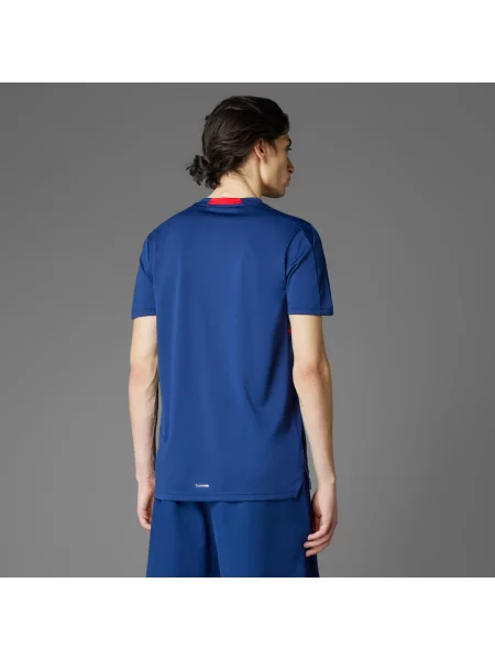 ADIDAS PERFORMANCE Funkční tričko Design For Training Legacy tmavě modrá / červená bílá