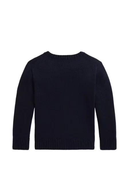 Sweter dziecięcy Polo Ralph Lauren niebieski