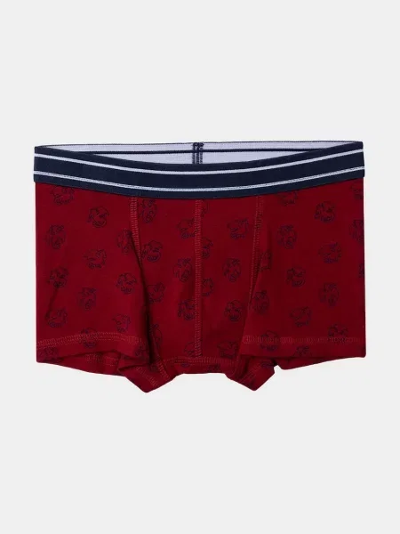 Детские боксеры Sergent Major