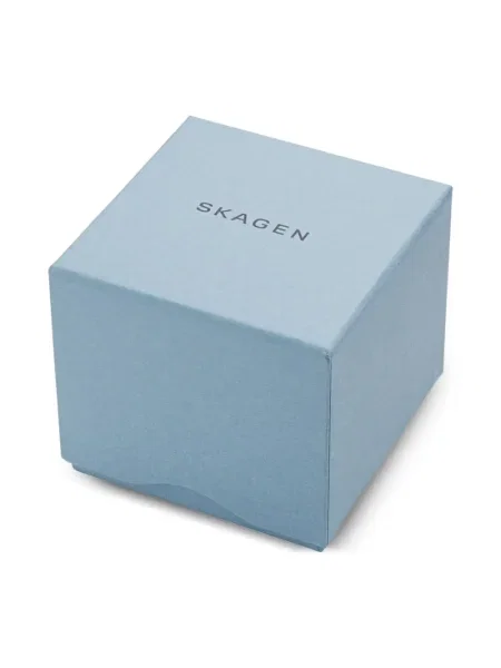 Ceas Skagen gri