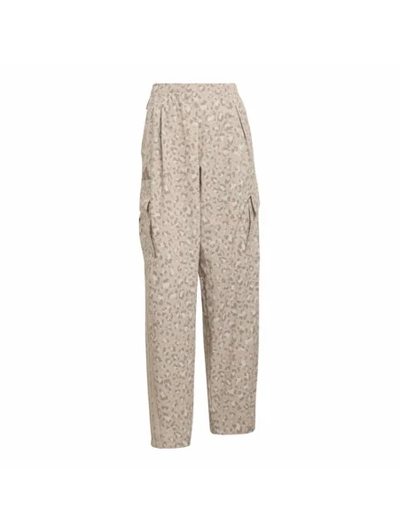 ADIDAS TERREX Hlače za vanjske uvjete / pijeska / taupe siva bež