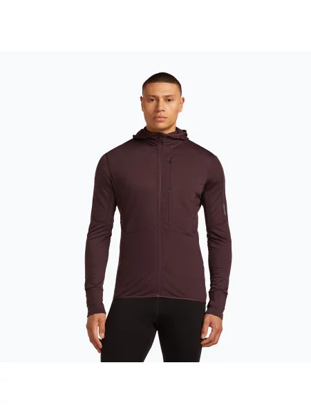 Мъжки суитшърт за трекинг Icebreaker Merino RealFleece Descender Zip Hoodie java кафяво
