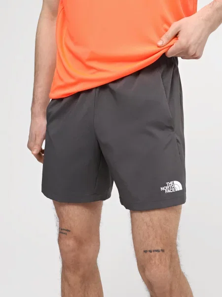 Спортивные шорты The North Face серые