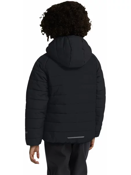 Детская куртка Jack Wolfskin серая