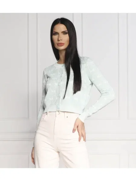 Pinko Cardigan CANORO verde