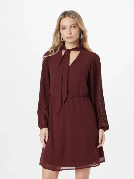 ABOUT YOU Rochie tip bluză Phoenix bordeaux roșu