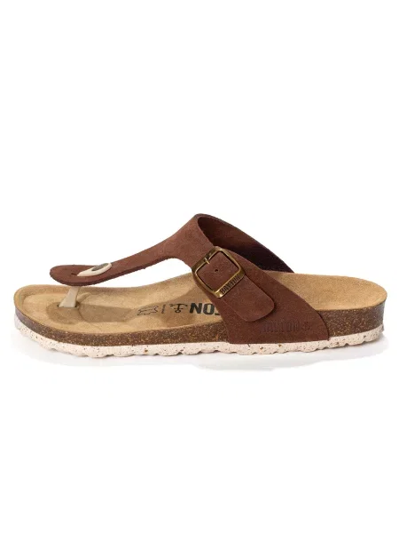 Bayton Japonke Mercure' rjava