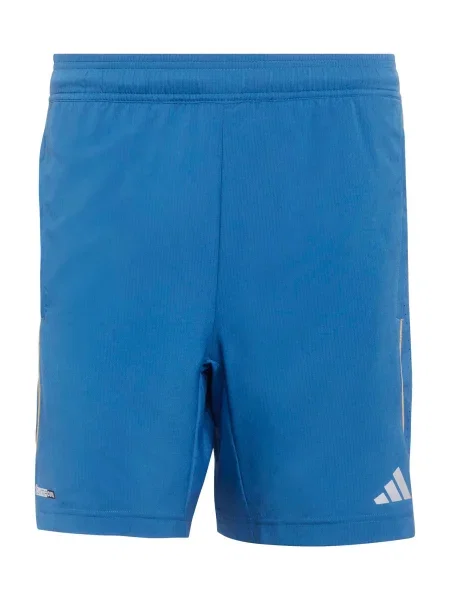 ADIDAS PERFORMANCE Pantaloni sport albastru / galben pastel / argintiu gri