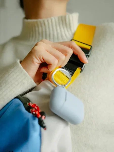 Сумка Orbitkey