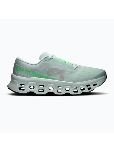 Încălțăminte de alergare pentru bărbați On Cloudmonster 3 brook/flurry