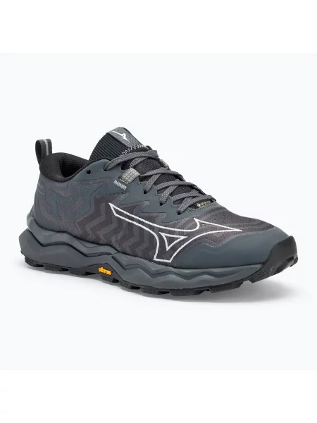 Încălțăminte de alergare pentru femei Mizuno Wave Daichi 8 GTX iron gate/nimbus cloud/black negru