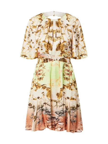 Karen Millen Rochie / maro caramel / portocaliu homar / verde limetă bej