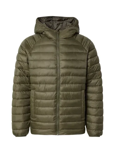 SELECTED Geacă de primăvară-toamnă SLHZJONES pin verde