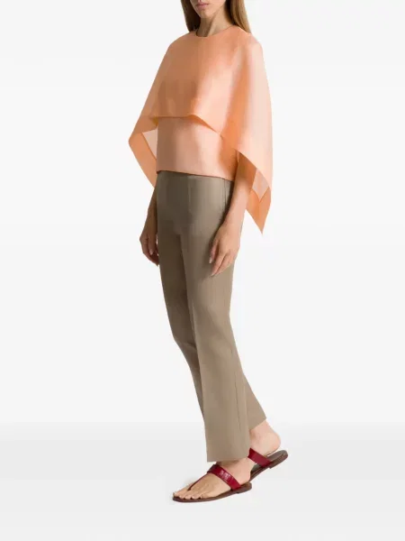 Pantaloni Alberta Ferretti gri