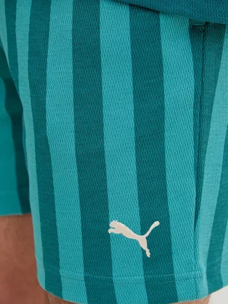 Трикотажные спортивные шорты Puma