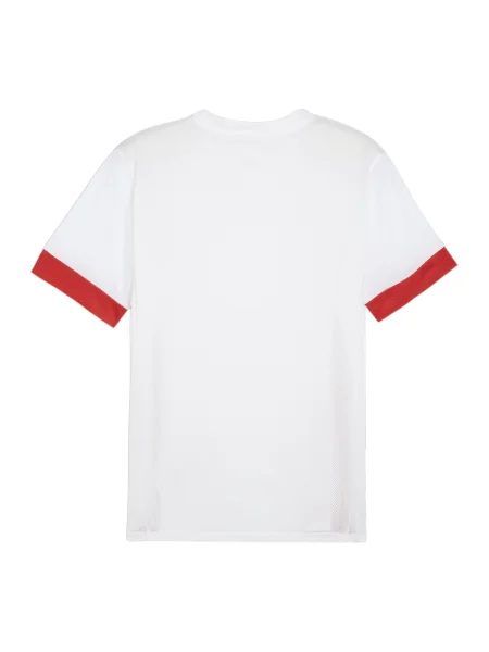 PUMA Tricou funcțional TeamGoal Matchday roșu alb