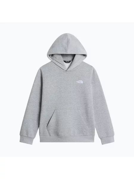 Bluză pentru copii The North Face Evolution Simple Dome Pullover Hood tnf pale grey heather gri