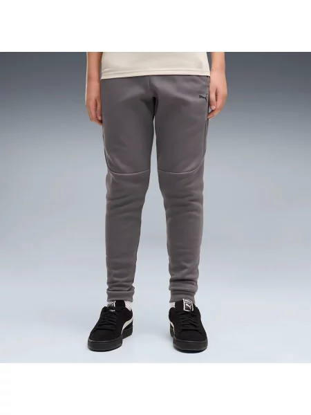 Pantaloni copii Puma gri