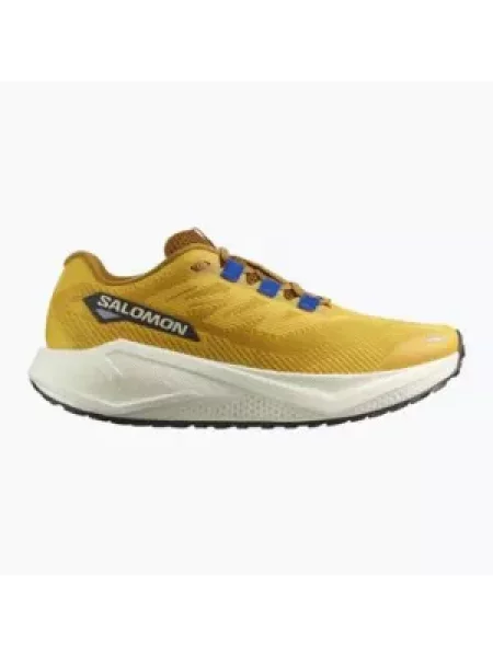 Кросівки для бігу Salomon Aero Blaze 3 GRVL spicy mustard/vanilla ice/nautical blue сині