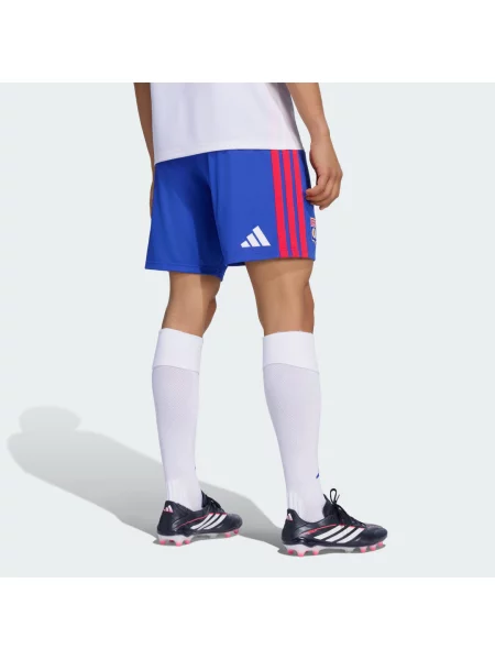 SPODENKI PODSTAWOWE OLYMPIQUE LYONNAIS niebieskie