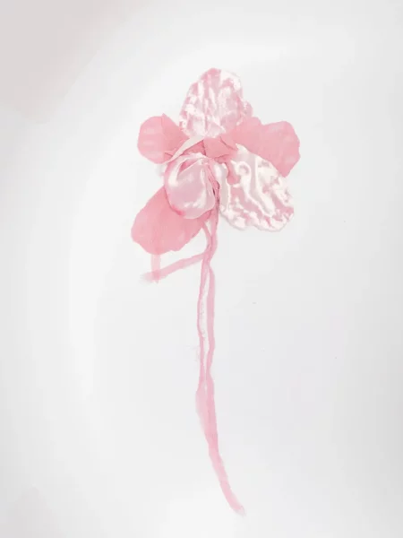 Брошка Alberta Ferretti на цветя розово