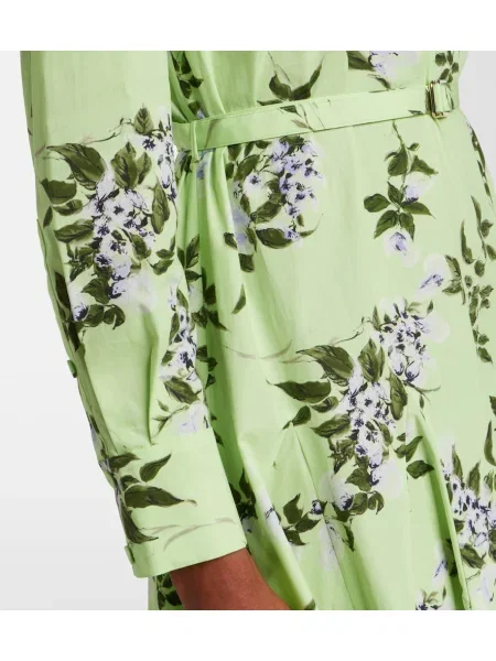 Cu centură rochie tip cămașă Emilia Wickstead cu model floral verde