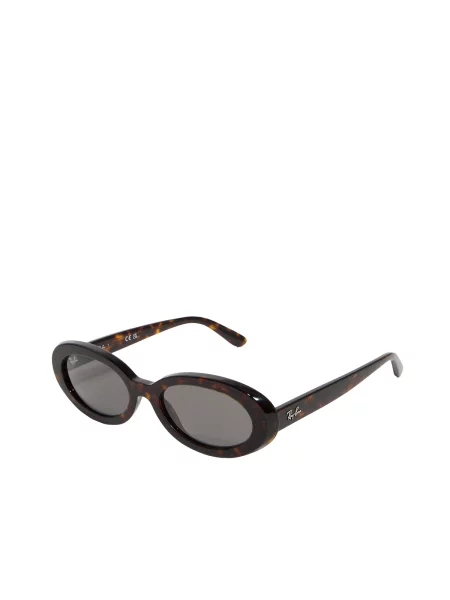 Ray-Ban Sončna očala rjava