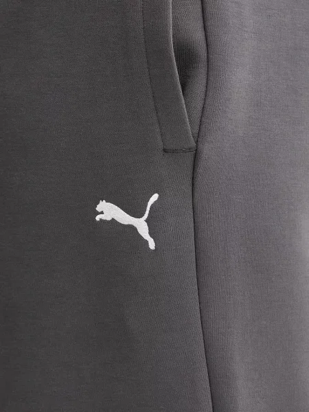 Спортивні штани Puma однотонні сірий
