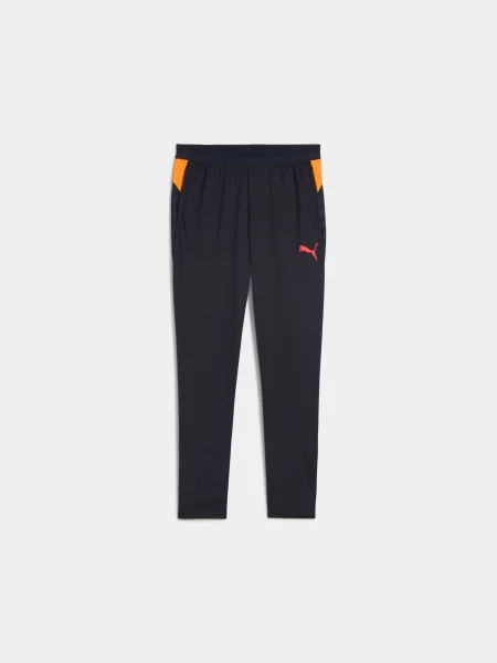 Штани спортивні PUMA Individualcup Training Pants комбінований верх синій