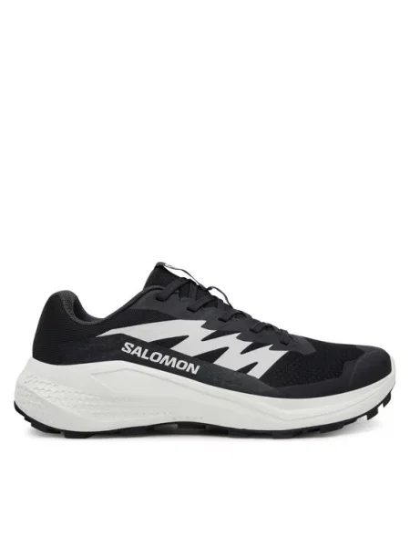 Salomon Běžecké boty Alphaglide černá