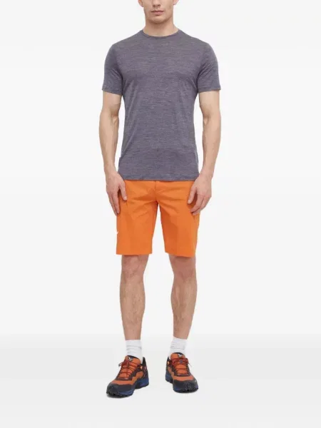 Scurt tricou Icebreaker gri