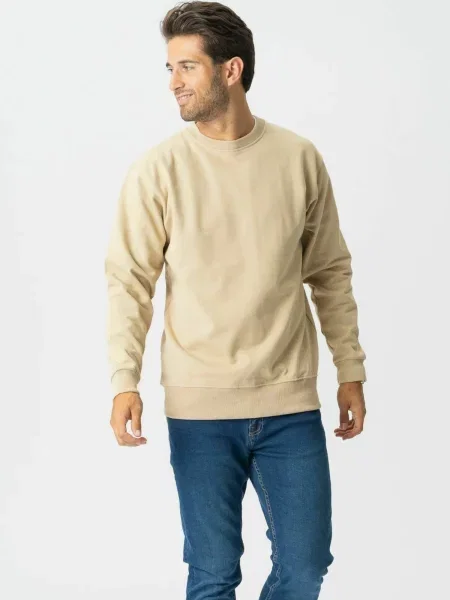 TEESHOPPEN Pulover Sweatshirt nisipiu