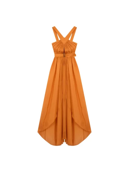 Długa sukienka maxi Alberta Ferretti żółta