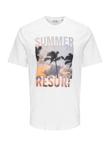 Only & Sons Tricou ONSMAGDY albastru fumuriu / portocaliu deschis / negru alb