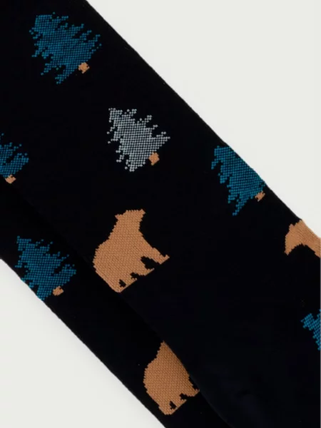 Smartwool шкарпетки