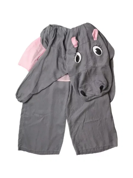 Costum Doublet gri