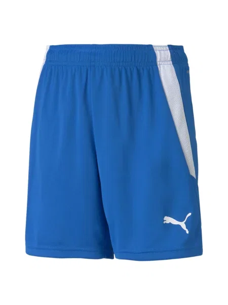 Spodenki Puma Team Liga niebieskie