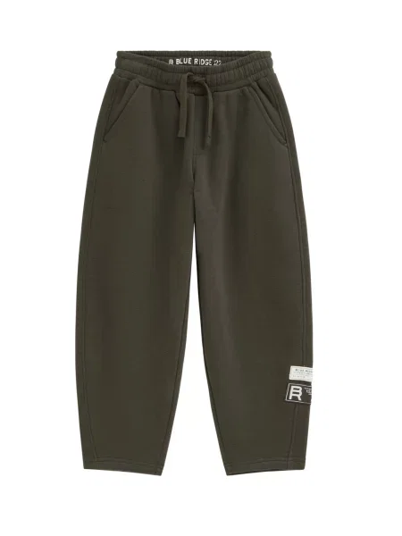 WE Fashion Pantaloni oliv