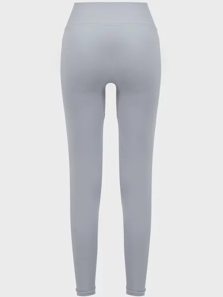 Бесшовные брюки Under Armour голубые