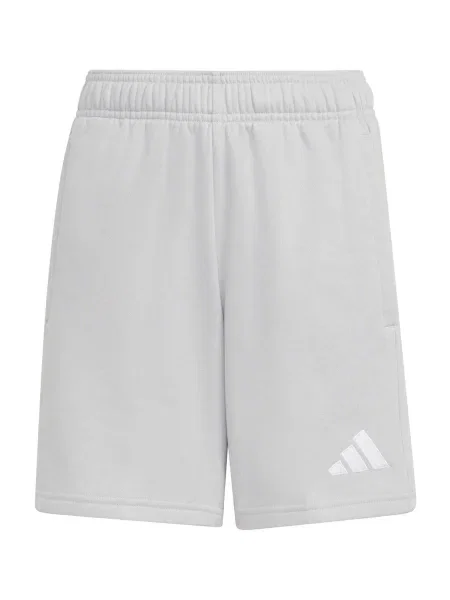ADIDAS PERFORMANCE Παντελόνι φόρμας ανοικτό γκρι