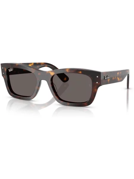 Ray-Ban Slnečné okuliare Hnedá čierna