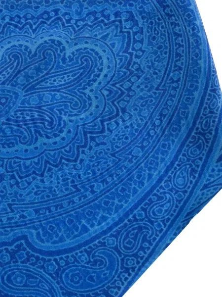Fular Etro cu model paisley albastru