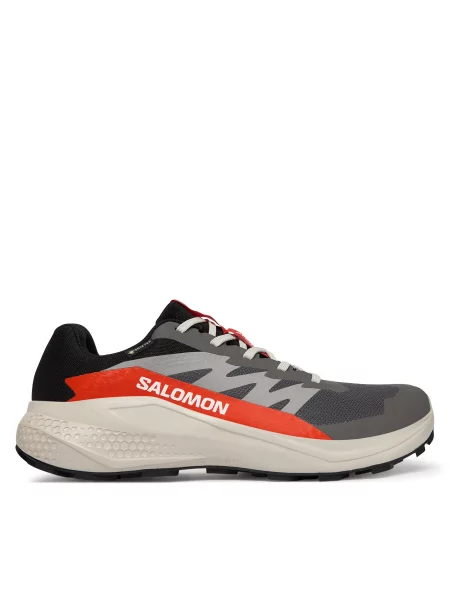 Pantofi pentru alergare Salomon Alphaglide Gore-Tex gri