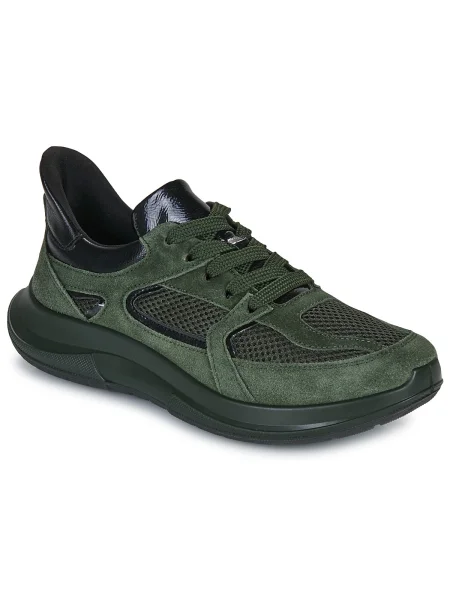 Tenisky Ara khaki