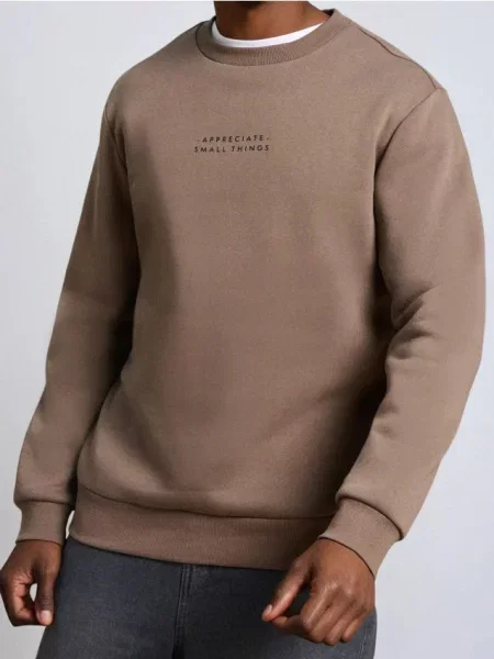 Sinsay Bluza crewneck z napisem brązowy