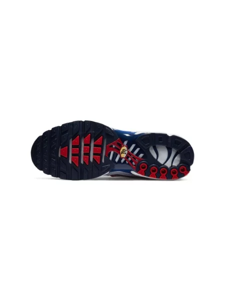 Pantofi Nike