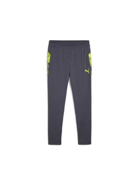 Штани спортивні PUMA Individualcup Training Pants комбінований верх сірий