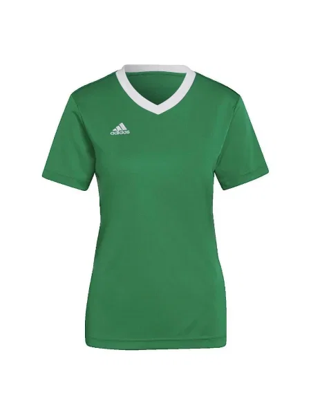 Plavky Adidas zelená