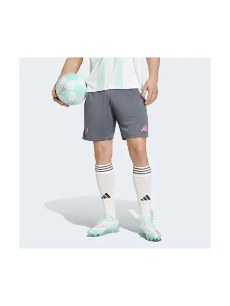 Šortky Adidas sivá